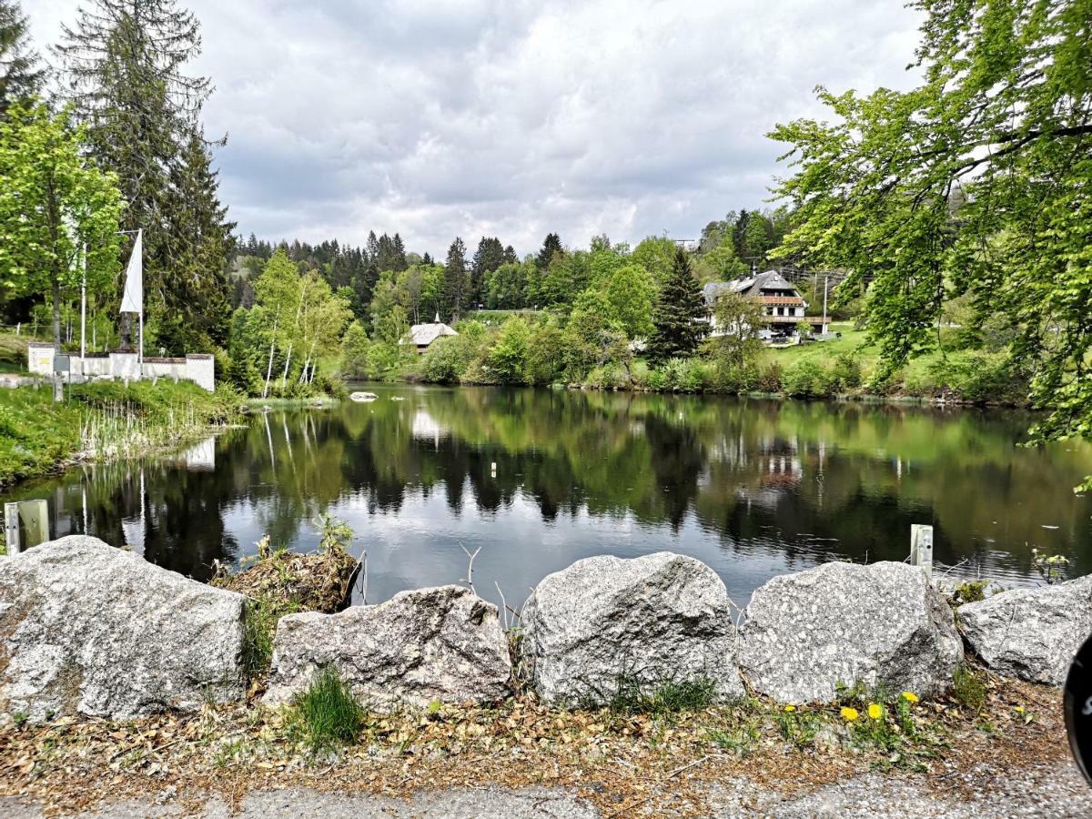 C1 Albmatte-Fewo Sauna, Hallenbad Aussenbecken Massagen Nebenan Menzenschwand Exterior photo